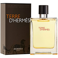 Hermes Terre D´Hermes EdT 100ml